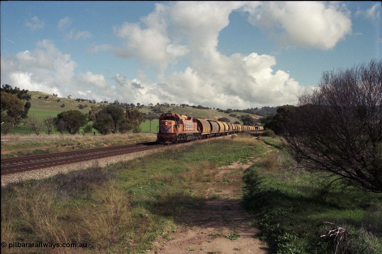 199-02
Toodyay West, empty grain train with standard gauge Westrail L class L 263 Clyde Engineering EMD GT26C serial 68-553 and forty empty waggons at Northam-Toodyay Rd Katrine. 1316 hrs on 21st June 1997.
Keywords: L-class;L263;Clyde-Engineering-Granville-NSW;EMD;GT26C;68-553;