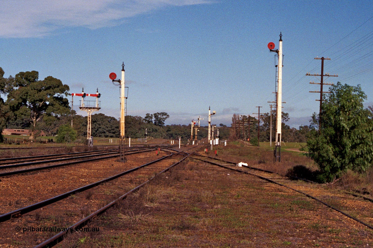 109-18
Avenal station yard overview, looking south, just prior to rationalisation, still fully signalled and interlocked, semaphore signal post 4 and disc signal posts 7 and 8 facing the camera, semaphore and disc signal post 2, 3, 4 and 5 visible in the distance, point indicators.
