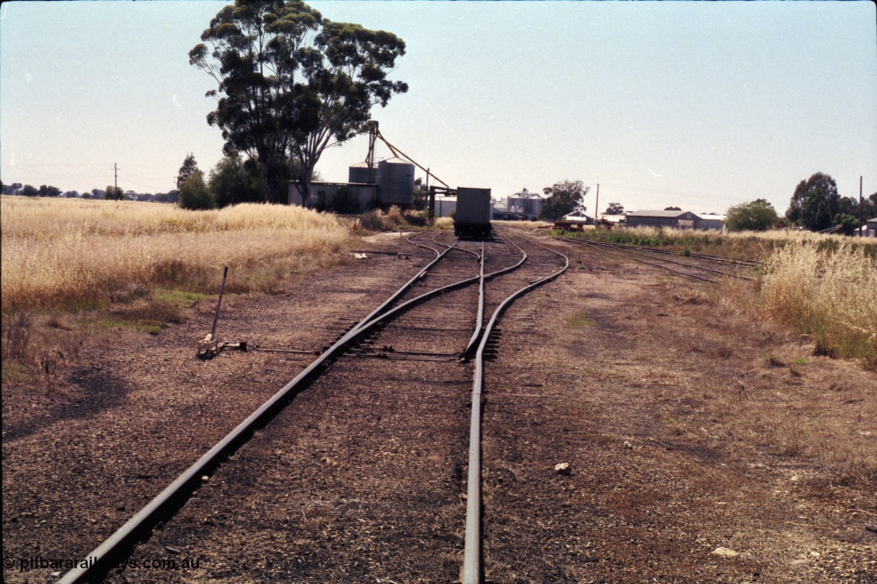 182-11
Wahgunyah station yard overview looking from the terminus towards Rutherglen, points and levers for number 1, 2 and 3 Roads with rake of waggons on No.2 Road, Delarue silo complex on the left at the site of former station building, to the left was the former turntable area, Uncle Tobys plant in the distance, with red gum sleepers and super phosphate shed on the right.
