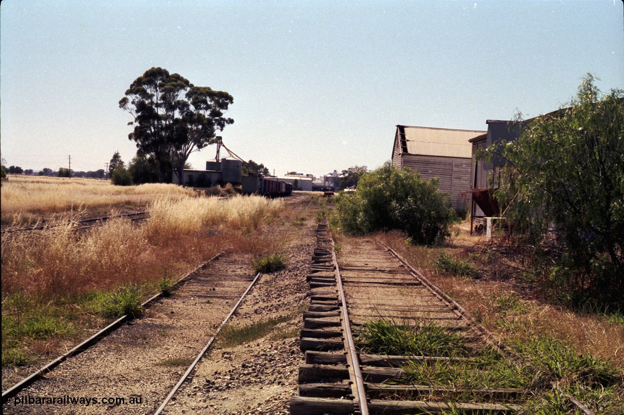 182-12
Wahgunyah, yard view looking towards Rutherglen from the goods sidings, No.2 Road visible on the left and No.4 Road in the middle, elevated siding with eroded track, shed on the right.
