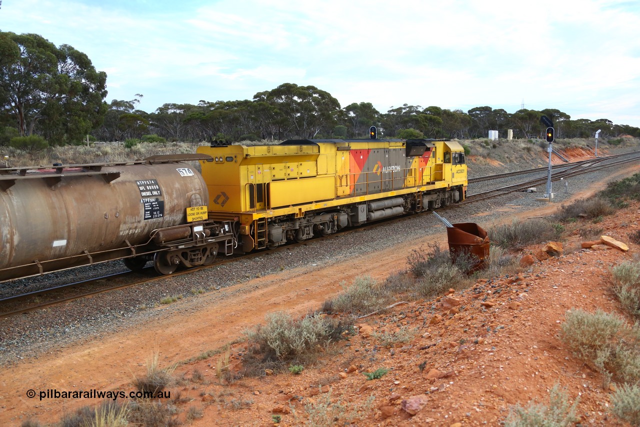 161116 5102
West Kalgoorlie, loaded Shell fuel train 3442 arrives behind UGL Rail built GE model C44ACi unit ACC 6031 serial R-0093-01/13-485 following its overnight run from Esperance with 26 waggons for 505 metres and 2165 tonnes past signal 10 into the yard.
Keywords: ACC-class;ACC6031;UGL-Rail;GE;C44ACi;R-0093-01/13-485;