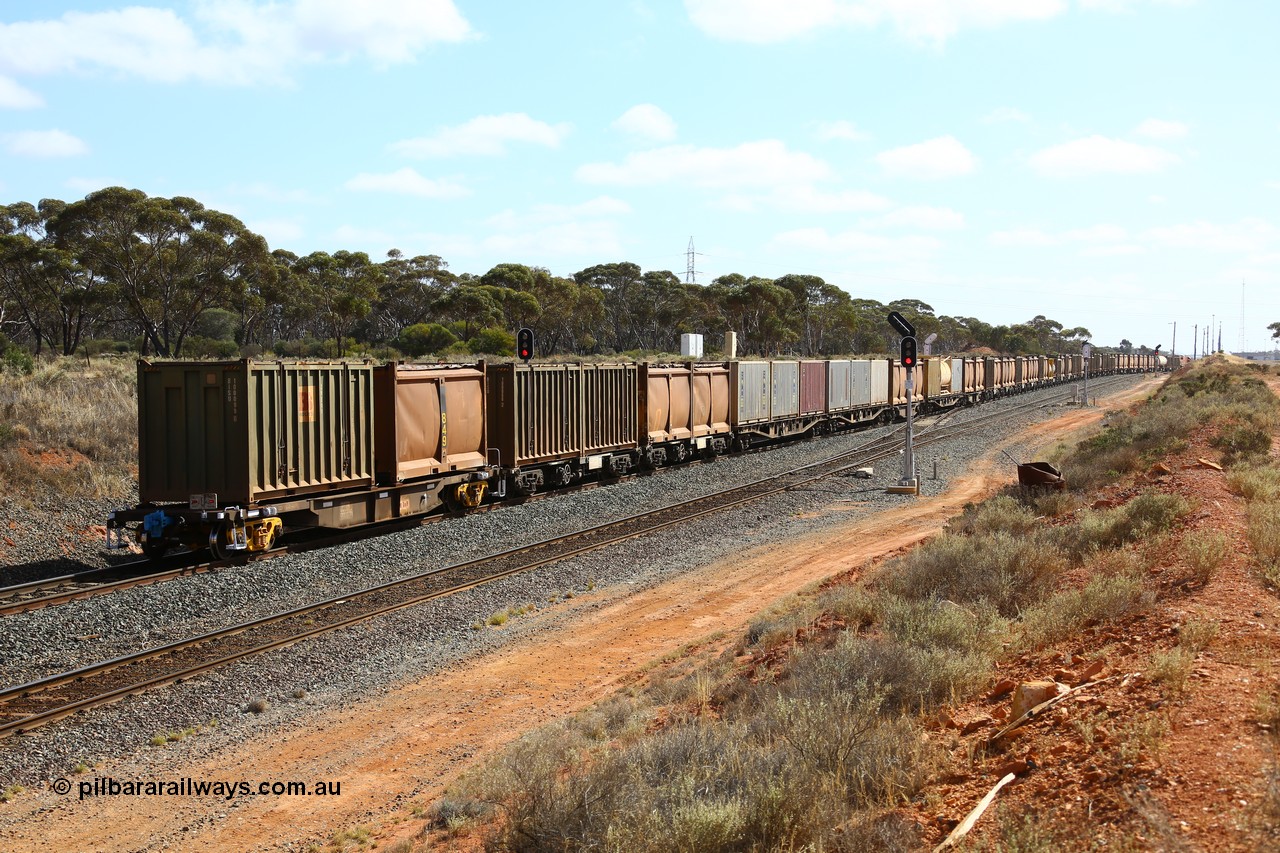161112 3018
West Kalgoorlie, loaded Malcolm sulphur train 6029, trailing view as it splits signals 8 and 10 and leaves the mainline to enter the yard.
