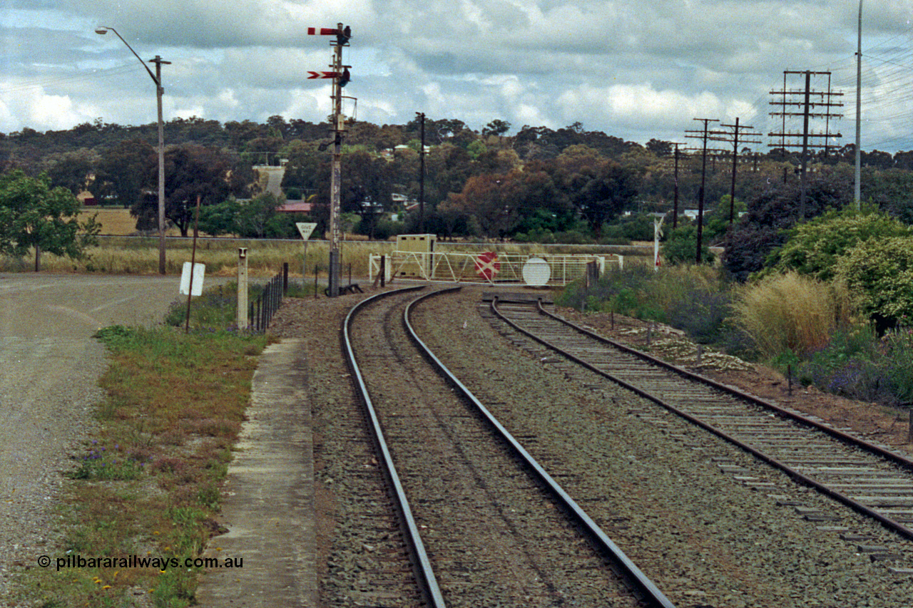 192-37
Cootamundra West, NSW, looking east in the up direction along South Fork, the truncated Tumut Siding is on the right, the Main South can be seen across the Yass Road non-interlocked hand gates with the top up semaphore signal operated by lever 45 and the lower arm controlled by Cootamundra North Signal Box.
