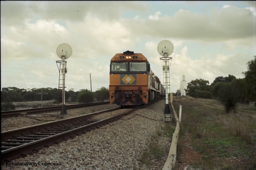 199-04
Meckering, National Rail NR class units NR 19 and NR 20 both being Goninan built GE Cv40-9i models head up train 7PM5 as they wait for a cross with the Prospector in the loop 1400 hrs 21st June 1997.
Keywords: NR-class;NR19;Goninan;GE;CV40-9i;7250-03/97-221;