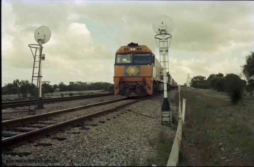 199-11
Meckering, National Rail NR class units NR 19 and NR 20 both being Goninan built GE Cv40-9i models head up train 7PM5 as they wait for a cross with the Prospector in the loop 1400 hrs June 21, 1997.
Keywords: NR-class;NR19;Goninan;GE;CV40-9i;7250-03/97-221;