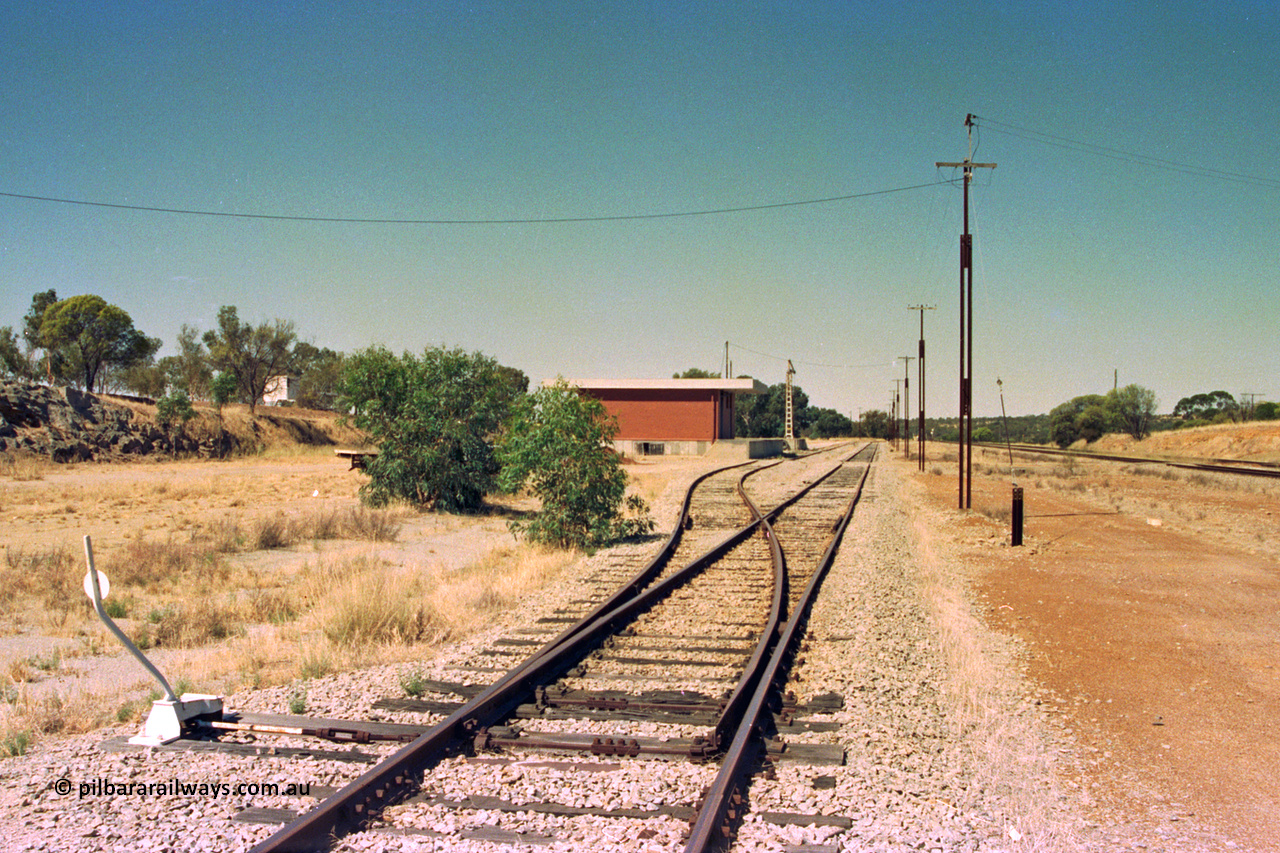 202-03
Meckering, looking east along the goods siding with the good shed loop points, shed and crane in the distance.
