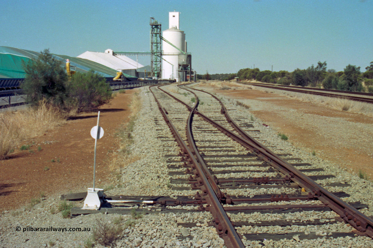 202-15
Meckering, looking east with the points for the hand operated non-interlocked points for the goods loop, grain siding continues on the left skirting the bunker and heading under the silo loading spout, while the goods loop bypasses the silos.
