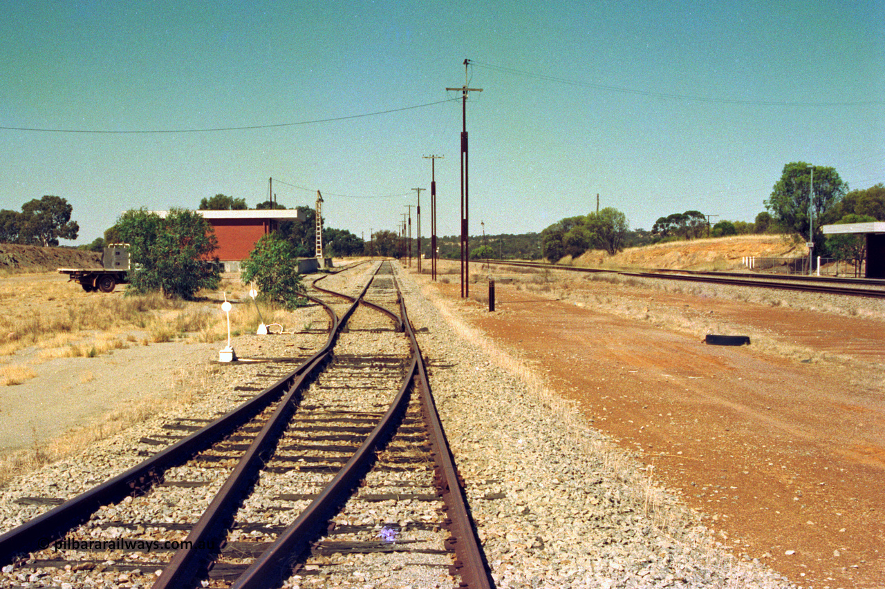 202-19
Meckering, looking east with the grain siding joining the goods loop, then with the goods siding branching off to the left, goods shed and crane on the left, station just visible on the right.
