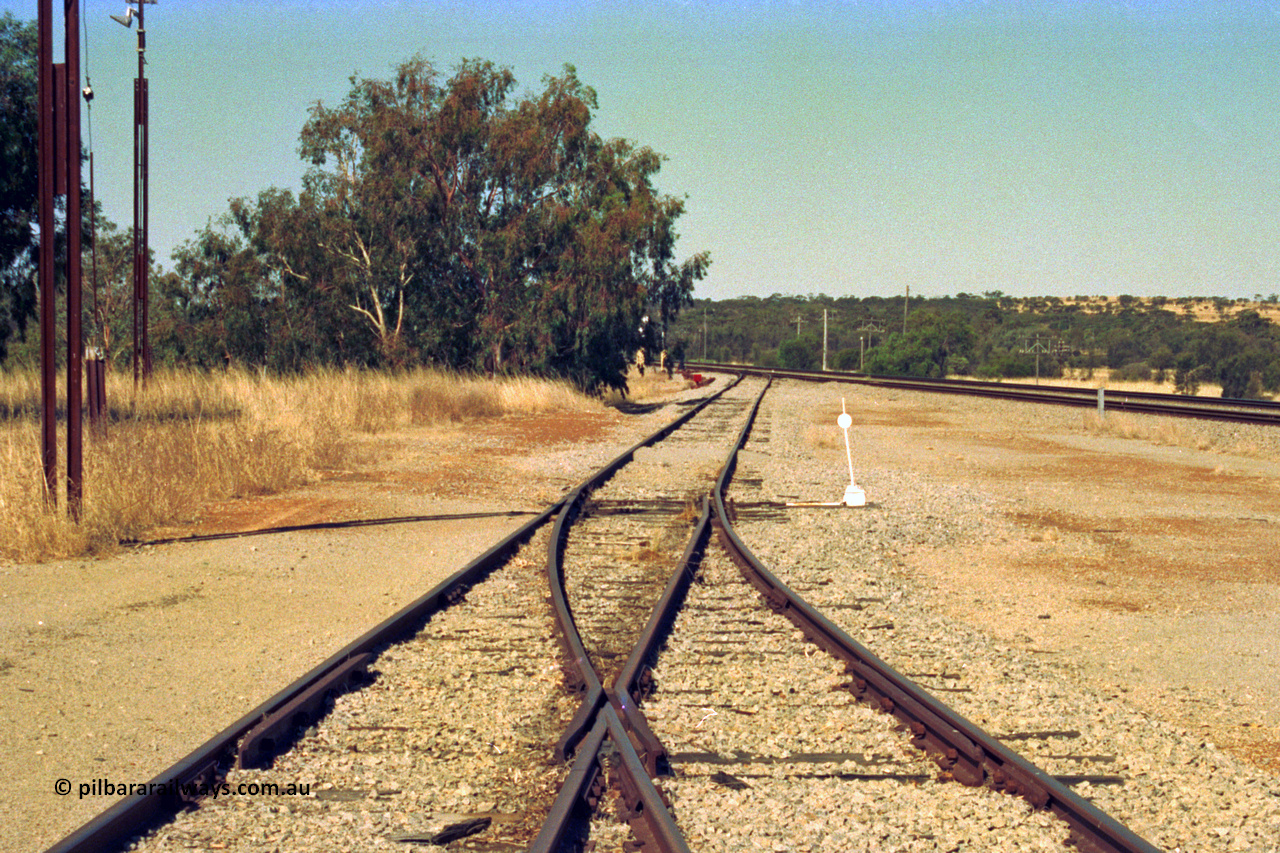 202-24
Meckering, view looking east with the goods siding re-joining the goods loop and heading back to the crossing loop.
