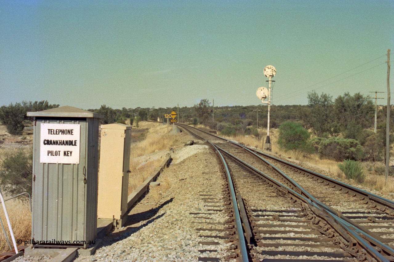 202-26
Meckering, view looking east across the Mortlock River flood plain at the east end of the crossing loop, the east end only has a small interlocking relay cabinet and phone booth.
