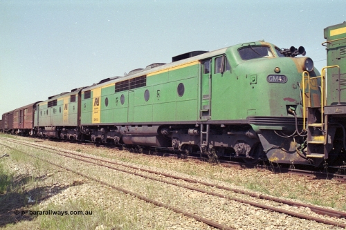 215-10
Peterborough, double Bulldog GM class units GM 43 Clyde Engineering EMD model A16C serial 67-529 and GM 46 serial 67-532 in the consist of power for an SP service awaiting line clear.
Keywords: GM-class;GM43;Clyde-Engineering-Granville-NSW;EMD;A16C;67-529;