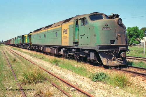 217-11
Peterborough, an SP Perth bound service awaiting line clear behind the AN liveried quad combination of CL class Bulldog CL 11 Clyde Engineering EMD model AT26C serial 71-739, 600 class 605 AE Goodwin ALCo model DL541 serial G6015-4, and GM class Bulldogs GM 43 Clyde Engineering EMD model A16C serial 67-529 and GM 46 serial 67-532.
Keywords: CL-class;CL11;Clyde-Engineering-Granville-NSW;EMD;AT26C;71-739;bulldog;