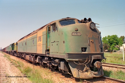 217-13
Peterborough, an SP Perth bound service awaiting line clear behind the AN liveried quad combination of CL class Bulldog CL 11 Clyde Engineering EMD model AT26C serial 71-739, 600 class 605 AE Goodwin ALCo model DL541 serial G6015-4, and GM class Bulldogs GM 43 Clyde Engineering EMD model A16C serial 67-529 and GM 46 serial 67-532.
Keywords: CL-class;CL11;Clyde-Engineering-Granville-NSW;EMD;AT26C;71-739;bulldog;