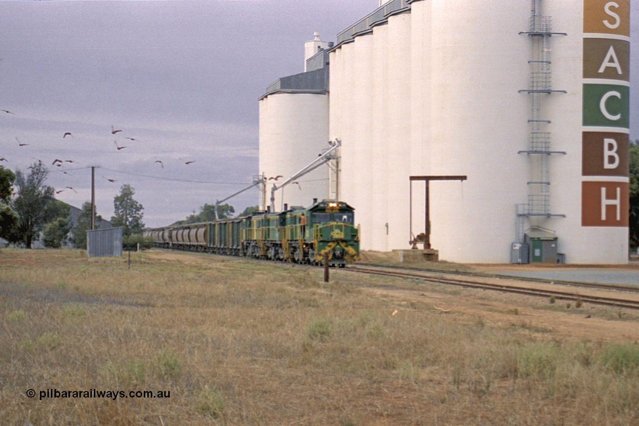 245-12
Wudinna, north bound empty grain train arrives behind a trio of former Australian National locomotives with rebuilt former AE Goodwin ALCo model DL531 830 class ex 839, serial 83730, rebuilt by Port Augusta Workshops to DA class, DA 4 leading two AE Goodwin ALCo model DL531 830 class units 842, serial 84140 and 851 serial 84137, 851 having been on the Eyre Peninsula since delivered in 1962, to shunt off empty waggons into the grain siding. 7th April 2003.
Keywords: DA-class;DA4;83730;Port-Augusta-WS;ALCo;DL531G/1;830-class;839;rebuild;