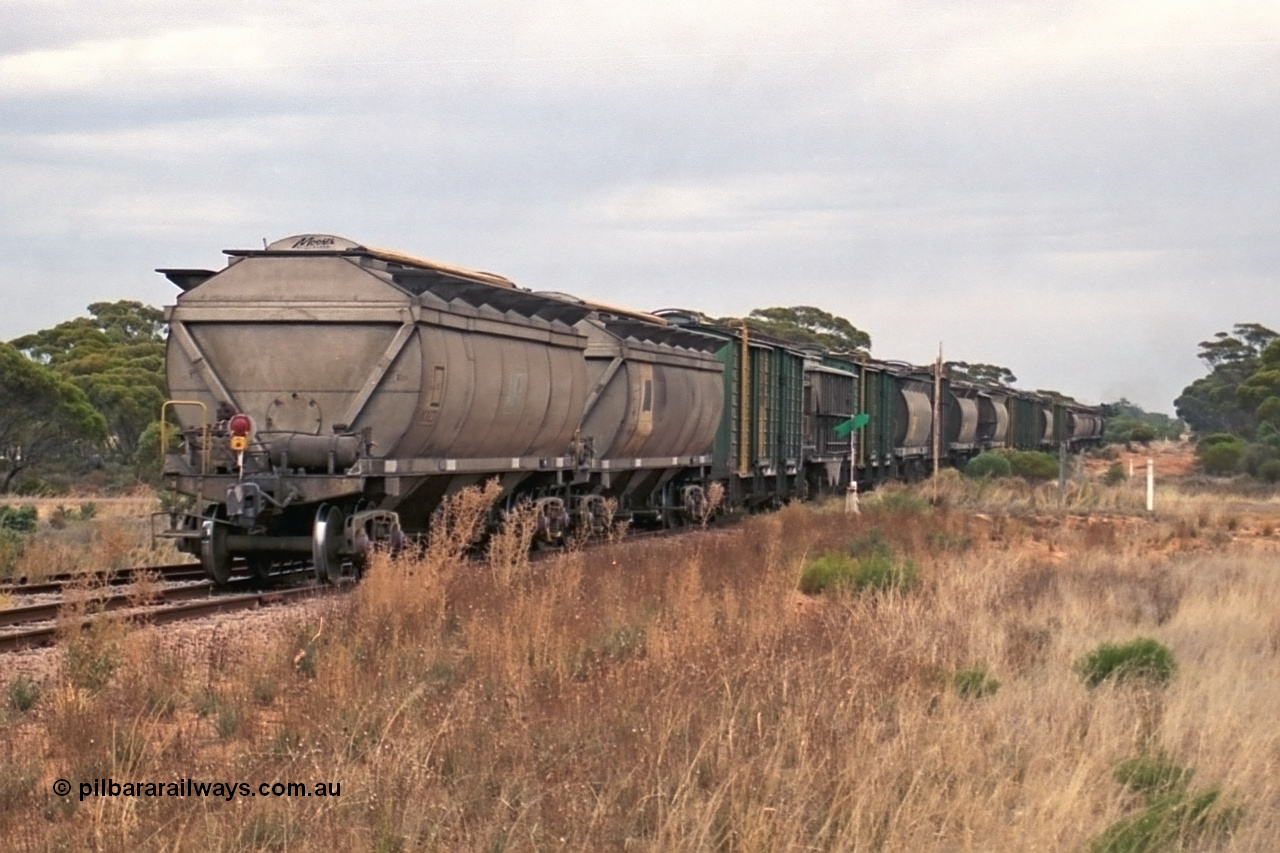 245-28
Yaninee, trailing view of an empty grain train as it trundles over Hunt Terrace with its motely collection of grain waggons as it runs 'express' through Yaninee. 7th April, 2003.
