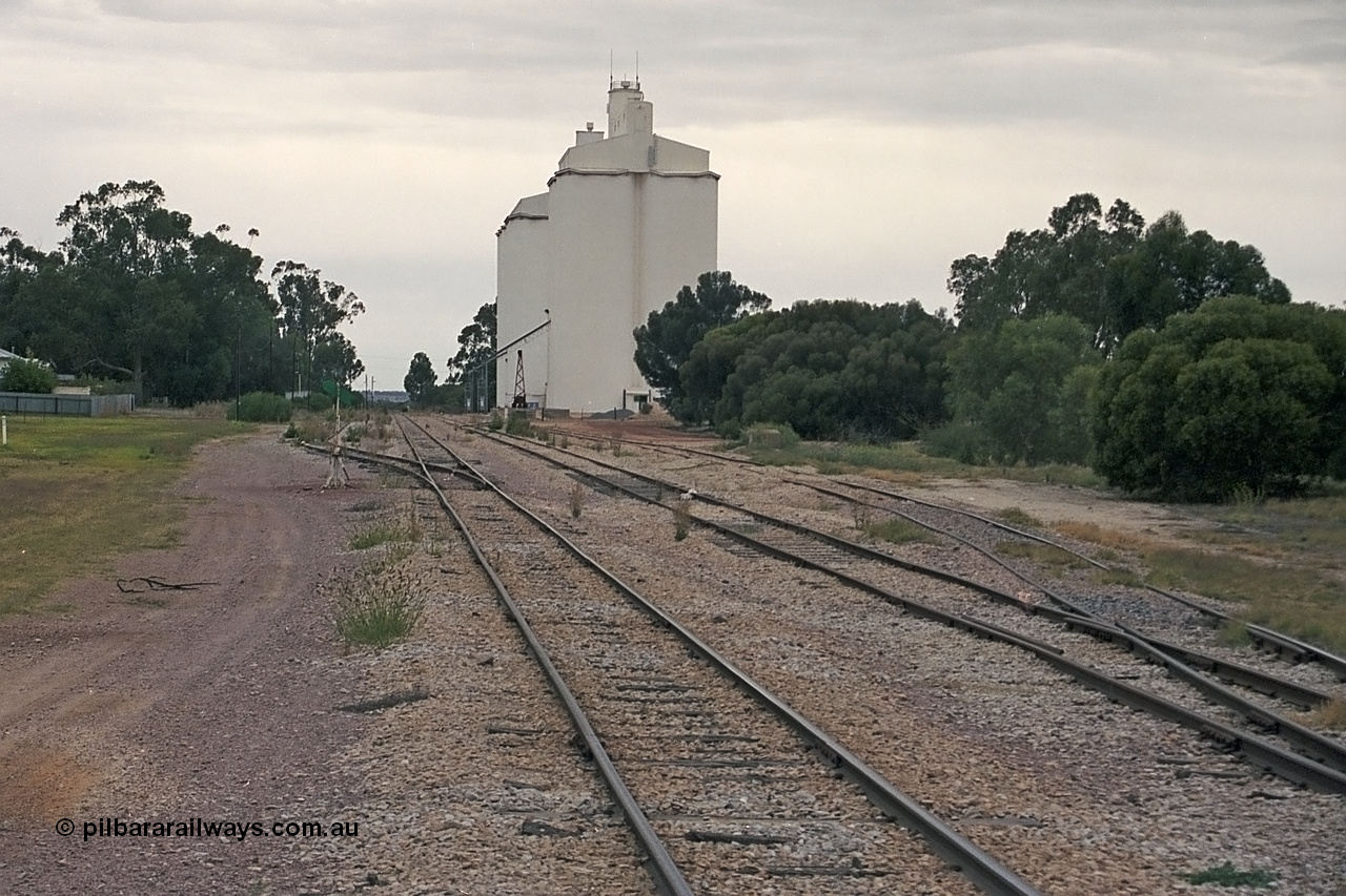 245-31
Minnipa yard looking in the up direction from the down end, on the left is goods siding #1, mainline to Port Lincoln, goods siding #2 and goods siding #3 on the right. 7th April, 2003.
