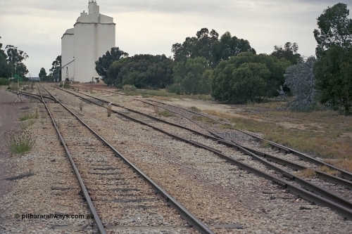 245-34
Minnipa yard looking in the up direction from the down end, on the left is goods siding #1, mainline to Port Lincoln, goods siding #2 and goods siding #3 on the right. April 7, 2003.
