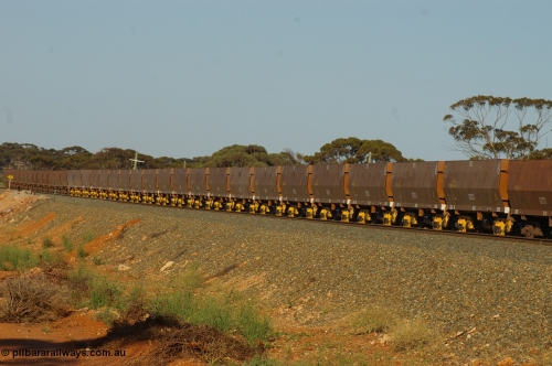 PD 8131
Binduli, line up of new yellow bogie Goninan built WOE type iron ore waggons.
Keywords: Peter-D-Image;WOE-type;