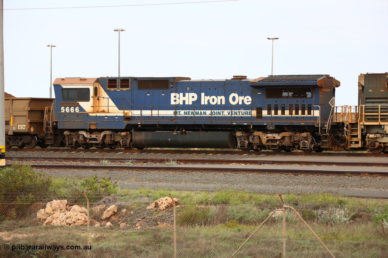 150523 8199
Nelson Point Yard, with only another month to operate, BHP Billiton CM40-8M locomotive 5666 'Taranto' is a trailing unit as the loaded rake waits to head to the car dumpers for unloading. 5666 started life as a Comeng NSW built M636 ALCo 5487 before Goninan rebuilt it in 1995 to a CM40-8MEFI as it was the first unit to trial an electronic fuel injection system. Come the 1st of July 2015 all these units were all stored.
