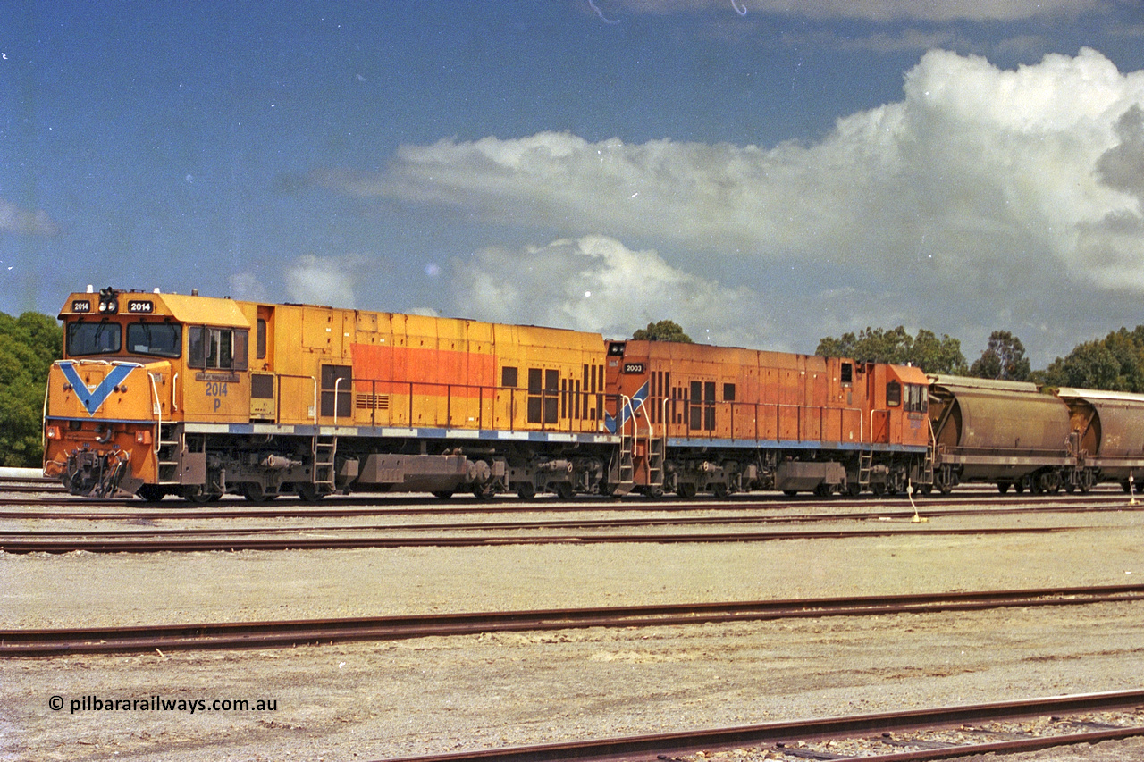 284-14
Narngulu, Geraldton, former Westrail P class loco P 2014 'Shire of Wongan-Ballidu' built by Goninan WA as a GE CM25-8 model with serial number 6320-12 / 90-099 sits in the yard on empty grain waggons with sister loco P 2003. November 9, 2004.
Keywords: P-class;P2014;Goninan-WA;GE;CM25-8;6320-12/90-099;