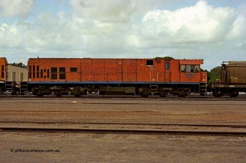 284-09
Narngulu, Geraldton, former Westrail P class loco P 2003 'Shire of Victoria Plains' built by Goninan WA as a GE CM25-8 model with serial number 6320-02 / 90-088 sits in the yard on empty grain waggons with sister loco P 2014. November 9, 2004.
Keywords: P-class;P2003;Goninan-WA;GE;CM25-8;6320-02/90-088;