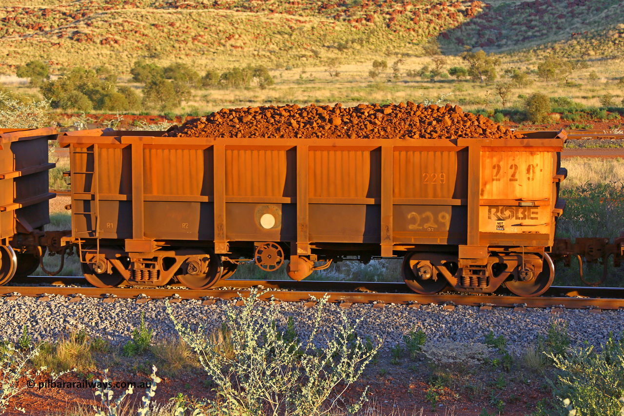 0229 170513 8699
Robe River ore waggon 229, built by Nippon Sharyo Nihon, handbrake side loaded view, Cape Lambert yard, May 13, 2017.
Keywords: 229;Nippon-Sharyo-Nihon;Robe-ore-waggon;