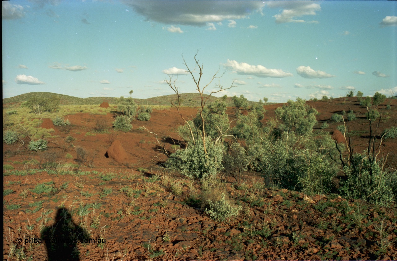 195-10
Wittenoom, top of Bee Gorge, snappy gums and ant hills.
