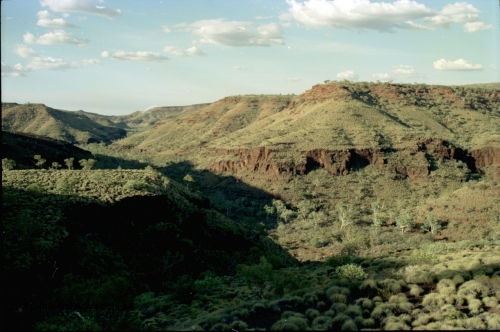 195-06
Wittenoom, Bee Gorge, view from top of cat walk looking north, track can be made out in the bottom of gorge.
