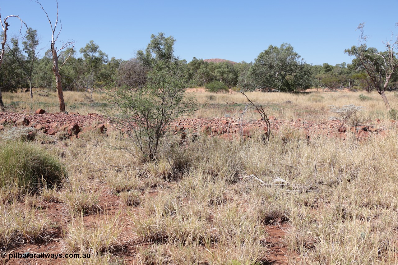 140517-4333
Eginbah Siding area, of the Marble Bar railway, looking towards north east at the formation. [url=https://goo.gl/maps/s6mLeiNhKb22]Location here[/url].
