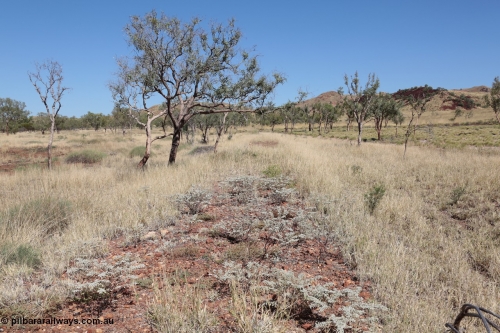 140517-4327
Eginbah Siding area, of the Marble Bar railway, looking towards Marble Bar along the alignment. [url=https://goo.gl/maps/hEYQTG5P4N72]Location here[/url].
