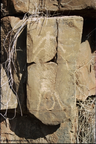 205-15
Wittenoom, Bee Gorge, rock carving.
