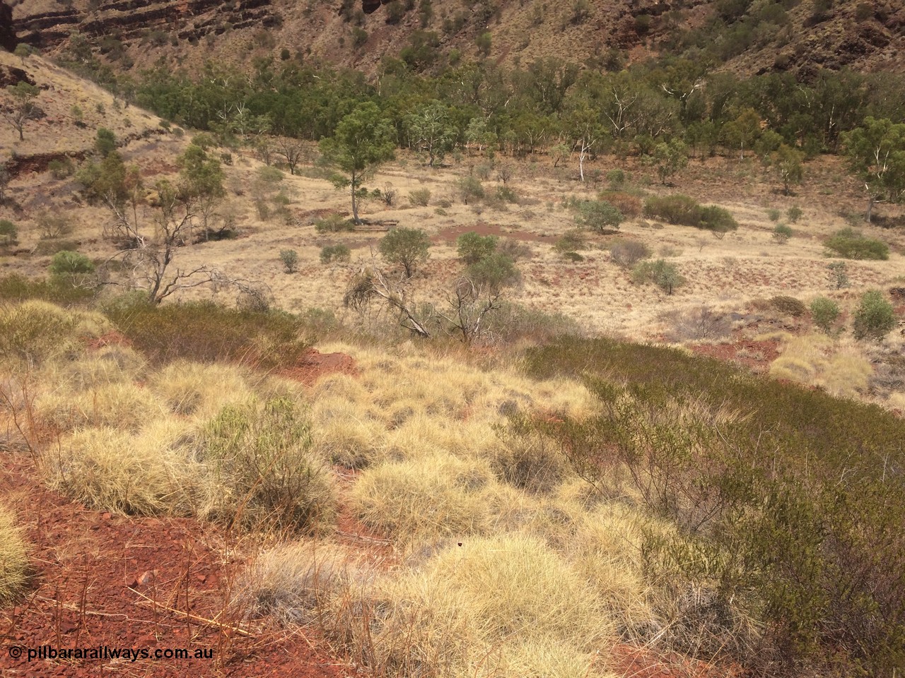 160101 2297
Wittenoom Gorge, location of former power station, shows tree growing through old foundations in the middle background, looking north west from approx. engine hall location, geodata: [url=https://goo.gl/maps/Y78Egje7Lt52] -22.3222583 118.3340833 [/url], iPhone 5S image.
