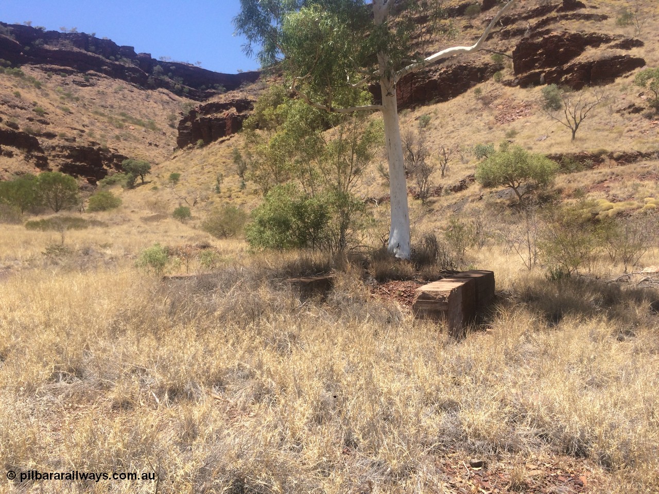160101 2299
Wittenoom Gorge, location of former power station, shows old concrete foundations with tress growing through them, looking south west, geodata: [url=https://goo.gl/maps/X3CYaqqaZ832] -22.3222056 118.3328944 [/url], iPhone 5S image.
