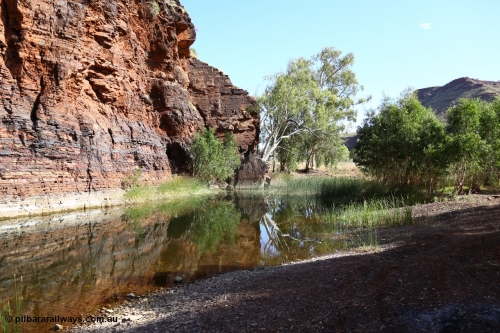 160101 9758
Wittenoom Gorge, Joffre Creek, Fourth Crossing Pool view of the western wall gorge, via Bolitho Road. Geodata: [url=https://goo.gl/maps/nzPjhQjuRL12] -22.2804483 118.3212850 [/url]

