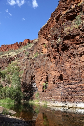 160101 9768
Wittenoom Gorge, Joffre Creek, Fourth Crossing Pool view of the western wall gorge, via Bolitho Road. Geodata: [url=https://goo.gl/maps/nzPjhQjuRL12] -22.2804483 118.3212850 [/url]
