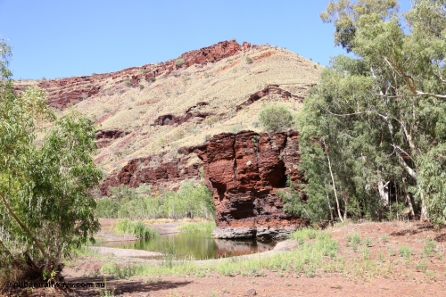 160102 9813
Wittenoom Gorge, Town Pool in Joffre Creek just south of the Colonial Mine. [url=https://goo.gl/maps/AutgczJup1oceeSa9]Geodata[/url].
