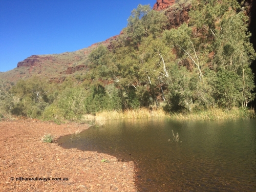 160710 iPh5S 2786
Wittenoom Gorge, Pyramid Pool looking south along the western wall of the gorge. [url=https://goo.gl/maps/wETwEHjHqzG53WNf8]Geodata[/url].
