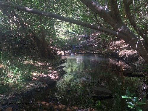 160710 iPh5S 2792
Wittenoom Gorge, natural spring, near the old Colonial Mine that feeds the native bananas. It is always a lot cooler in here than the gorge, which is cooler than town.
