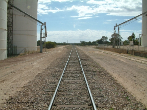 030405 140124
Kyancutta, yard view looking north along the mainline with silo out-loading spouts on each siding, April 5, 2003.
