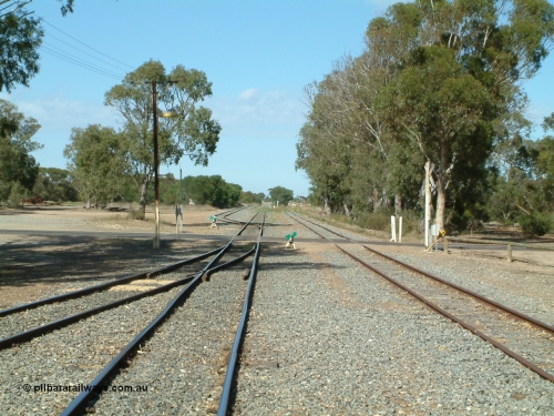 030406 100006
Cummins, yard view looking south across Railway Tce grade crossing, Buckleboo line - siding converging on the left, with the grain siding on the right, the points, indicator and lever south of the grade crossing is to the grain bunker loading - unloading site which is behind the trees to the left. 6th April 2003.
