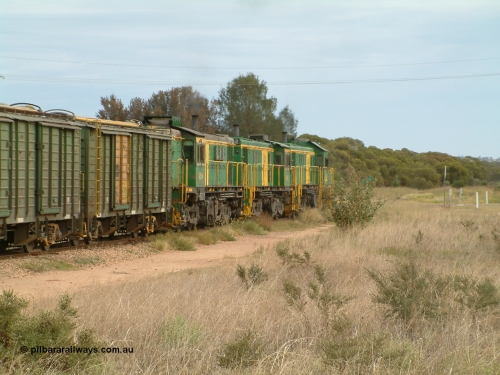 030407 082321
Wudinna, empty grain train shunts forward with a trio of former Australian National locomotives with rebuilt former AE Goodwin ALCo model DL531 830 class ex 839, serial 83730, rebuilt by Port Augusta Workshops to DA class, DA 4 leading two AE Goodwin ALCo model DL531 830 class units 842, serial 84140 and 851 serial 84137, 851 having been on the Eyre Peninsula since delivered in 1962, to shunt off empty waggons into the grain siding. 7th April 2003.
Keywords: DA-class;DA4;83730;Port-Augusta-WS;ALCo;DL531G/1;830-class;839;rebuild;