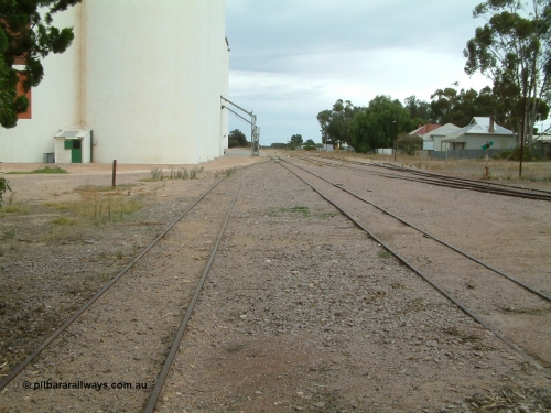 030407 094147
Minnipa, station yard view from the grain siding storage roads looking north, mainline to the right, silo out-flow spouts. 7th April 2003.
