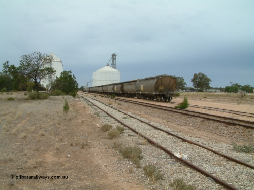 030407 105420
Poochera, yard view looking south across the goods siding, min line and grain siding with loading of a grain rake taking place on the grain siding with the Ascom silo complex behind. 7th April 2003.
