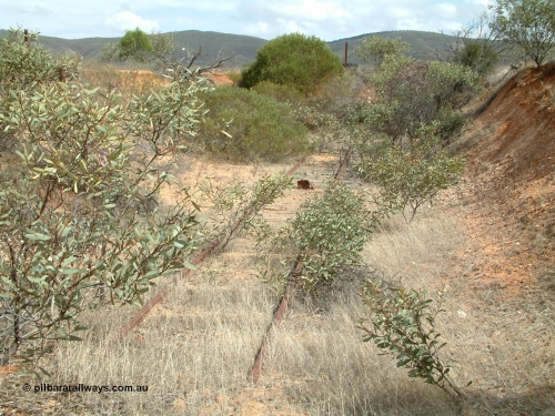 030409 113015
Darke Peake, the end of the triangle looking west is in this cutting.
