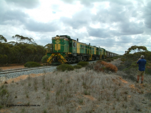 030409 120804
Kielpa, a few kilometres south of the former Konanda siding loaded grain train with 830 class unit 851 AE Goodwin ALCo model DL531 serial 84137, 851 has spent its entire operating career on the Eyre Peninsula, leads fellow 830 class 842 serial 84140 and a rebuilt unit DA 4, rebuilt from 830 class unit 839 by Port Augusta Workshops, retains original serial 83730 and model DL531 with the first twelve waggons behind the locos XNW type slows to a stop for a crew change.
Keywords: 830-class;851;AE-Goodwin;ALCo;DL531;84137;