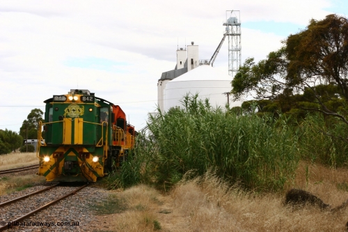060108 2042
Lock, grain train being loaded by former SAR 830 class unit 842, built by AE Goodwin ALCo model DL531 serial 84140 in 1962, originally on broad gauge, transferred to Eyre Peninsula in October 1987 and, 1204 and sister 851.
Keywords: 830-class;842;AE-Goodwin;ALCo;DL531;84140;