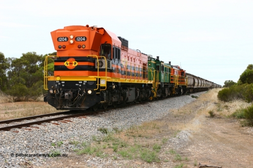 060110 2153
Pillana, former station site, 59 km, empty grain train behind ARG 1200 class unit 1204, a Clyde Engineering EMD model G12C serial 65-428, originally built for the WAGR as the final unit of fourteen A class locomotives in 1965 then sent to the Eyre Peninsula in July 2004, and two 830 class AE Goodwin built ALCo model DL531 units 842 serial 84140 ex SAR broad gauge to Eyre Peninsula in October 1987, and 851 serial 84137 new to Eyre Peninsula in 1962. [url=https://goo.gl/maps/BcnmpGwGqtw]Approx. location of photo[/url].
Keywords: 1200-class;1204;Clyde-Engineering-Granville-NSW;EMD;G12C;65-428;A-class;A1514;830-class;842;851;AE-Goodwin;ALCo;DL531;84137;84140;