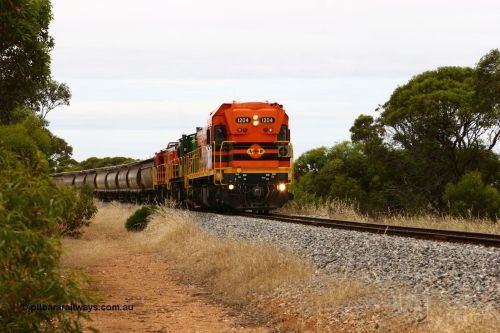 060110 2156
Near the 64 km between Pillana and Cummins, empty grain train behind ARG 1200 class unit 1204, a Clyde Engineering EMD model G12C serial 65-428, originally built for the WAGR as the final unit of fourteen A class locomotives in 1965 then sent to the Eyre Peninsula in July 2004, and two 830 class AE Goodwin built ALCo model DL531 units 842 serial 84140 ex SAR broad gauge to Eyre Peninsula in October 1987, and 851 serial 84137 new to Eyre Peninsula in 1962. [url=https://goo.gl/maps/NECDZnDkLfv]Approx. location of photo[/url].
Keywords: 1200-class;1204;Clyde-Engineering-Granville-NSW;EMD;G12C;65-428;A-class;A1514;830-class;842;851;AE-Goodwin;ALCo;DL531;84137;84140;