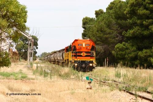 060110 2187
Yeelanna, empty grain arriving to shunt off empty hoppers, behind ARG 1200 class unit 1204, a Clyde Engineering EMD model G12C serial 65-428, originally built for the WAGR as the final unit of fourteen A class locomotives in 1965. Sent to the Eyre Peninsula in July 2004. [url=https://goo.gl/maps/1JetzWBTGAw]Approx. location of image[/url].
Keywords: 1200-class;1204;Clyde-Engineering-Granville-NSW;EMD;G12C;65-428;A-class;A1514;