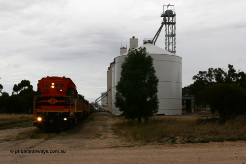 060110 2239
Lock, grain train loading underway behind ARG 1200 class unit 1204, a Clyde Engineering EMD model G12C serial 65-428, originally built for the WAGR as the final unit of fourteen A class locomotives in 1965 and sent to the Eyre Peninsula in July 2004 and two 830 class AE Goodwin built ALCo model DL531 units 842 serial 84140 ex SAR broad gauge and to Eyre Peninsula in October 1987, and 851 serial 84137 new to Eyre Peninsula in 1962. An Ascom silo complex is closest to camera. [url=https://goo.gl/maps/epTNTP7PARy]Approx. location of image[/url].
Keywords: 1200-class;1204;Clyde-Engineering-Granville-NSW;EMD;G12C;65-428;A-class;A1514;
